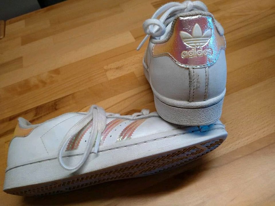 Sportschuhe Superstar v.adidas J38 in Schwetzingen