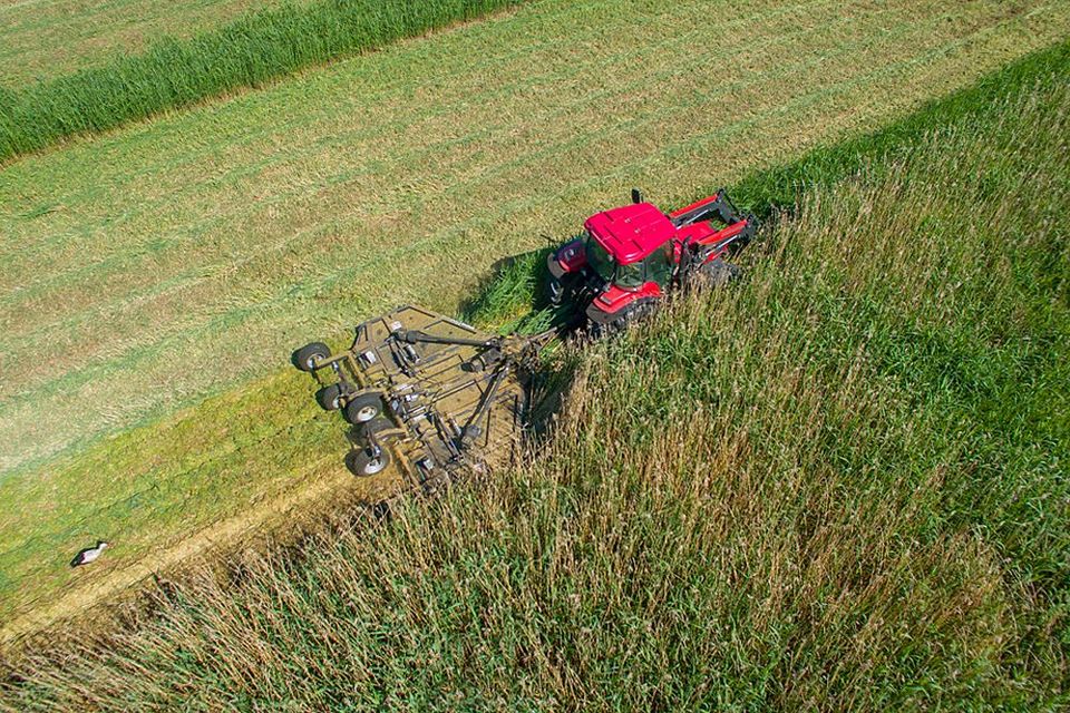 Pronar Mulcher  KPR 500 " Tornado " 5m in Asendorf (Nordheide)