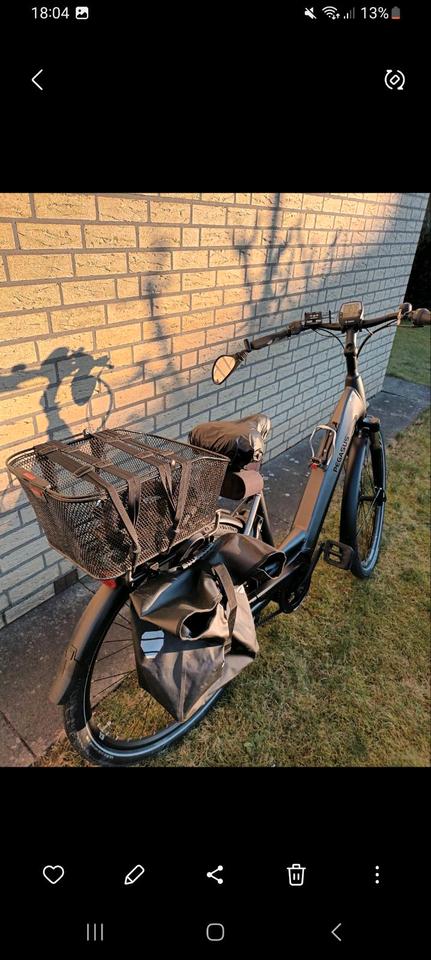 E-Bike Pegasus RH50cm, 28Zoll, inkl. Schloss,Tasche,Spiegel  etc. in Diepholz