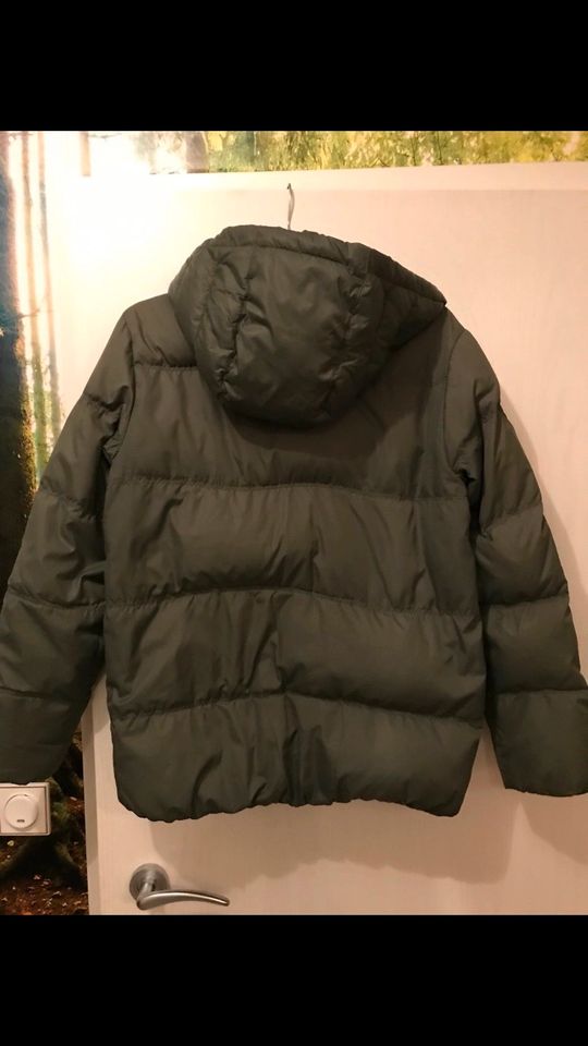 Tommy Hilfiger Daunenjacke Winterjacke für Jungen in grün Gr. 164 in Herford