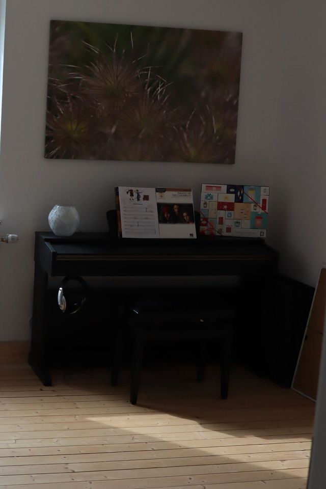 E-Piano YDP-161 von Yamaha in Kiel