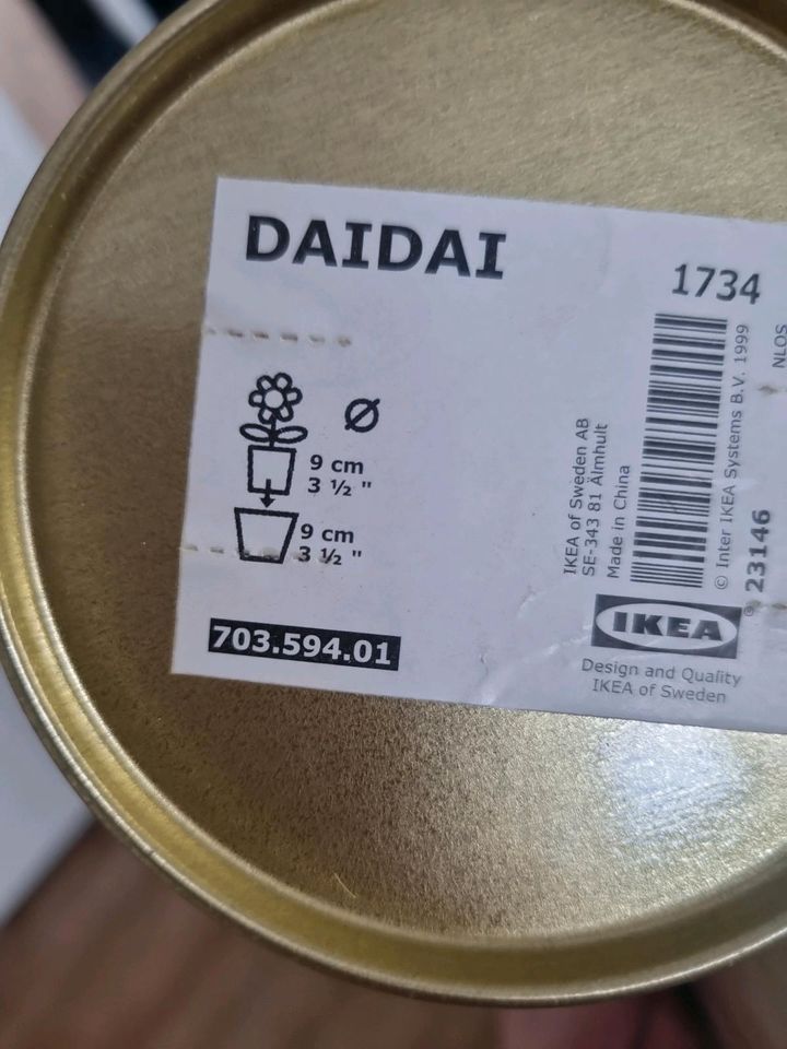 2 Blumentöpfe IKEA DAIDAI in Gold, 9cm in Braunschweig