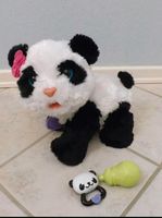 FurReal Frieds Panda-Baby "PomPom" elektronisches Haustier Niedersachsen - Lengede Vorschau