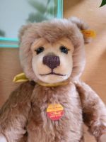 Magarete Steiff Teddy Musikbär original steiffteddy Knopf im Ohr Nordrhein-Westfalen - Versmold Vorschau