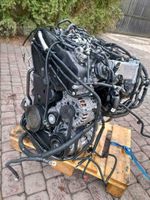 Motor Audi A4 A5 A6 Q5 2.0 TDI DET DETA DETB KOMPLETT Rheinland-Pfalz - Waldalgesheim Vorschau