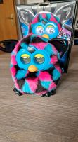 Furby Boom 3 farbig Bielefeld - Joellenbeck Vorschau