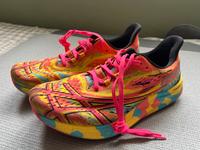 Asics Noosa Tri 15 Laufschuhe 42,5 Triathlon Nordrhein-Westfalen - Übach-Palenberg Vorschau