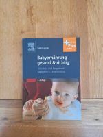Babyernährung gesund & richtig 2. Auflage Rheinland-Pfalz - Trier Vorschau