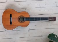 Akkustikgitarre für Anfänger Hohner HC-06 (HC 06) Niedersachsen - Wölpinghausen Vorschau