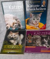 Katzenbücher Hessen - Lindenfels Vorschau