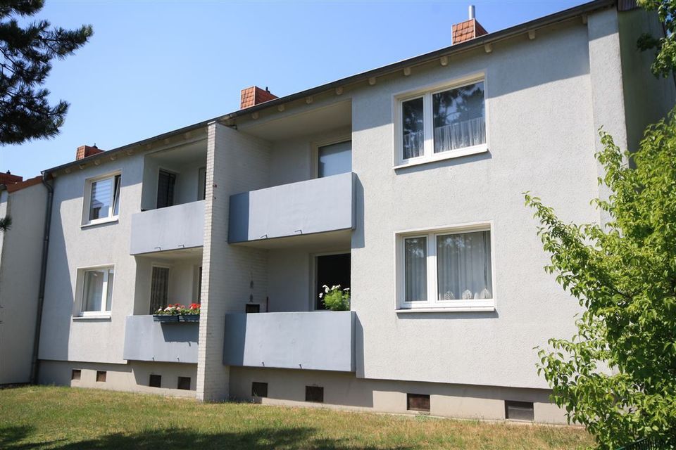 Lichtdurchflutete Wohnung am Rande des Stadtwalds in Verden