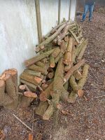 Brennholz gemischt teilweise 30cm bis 1,20 Meter Schleswig-Holstein - Lübeck Vorschau