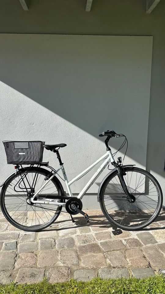 Fahrrad Premium Cityline, comfort 8.0 in Velten