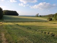 Biobetrieb sucht Ackerland, Wiese Bayern - Plankenfels Vorschau