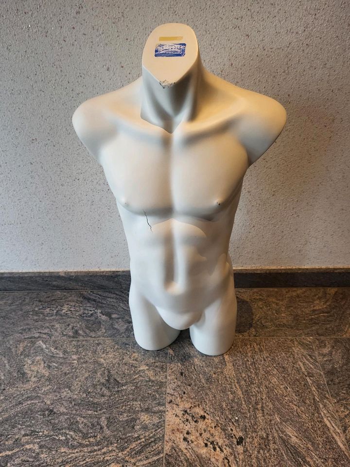 Herren schaufenster Puppe Torso in Großwallstadt