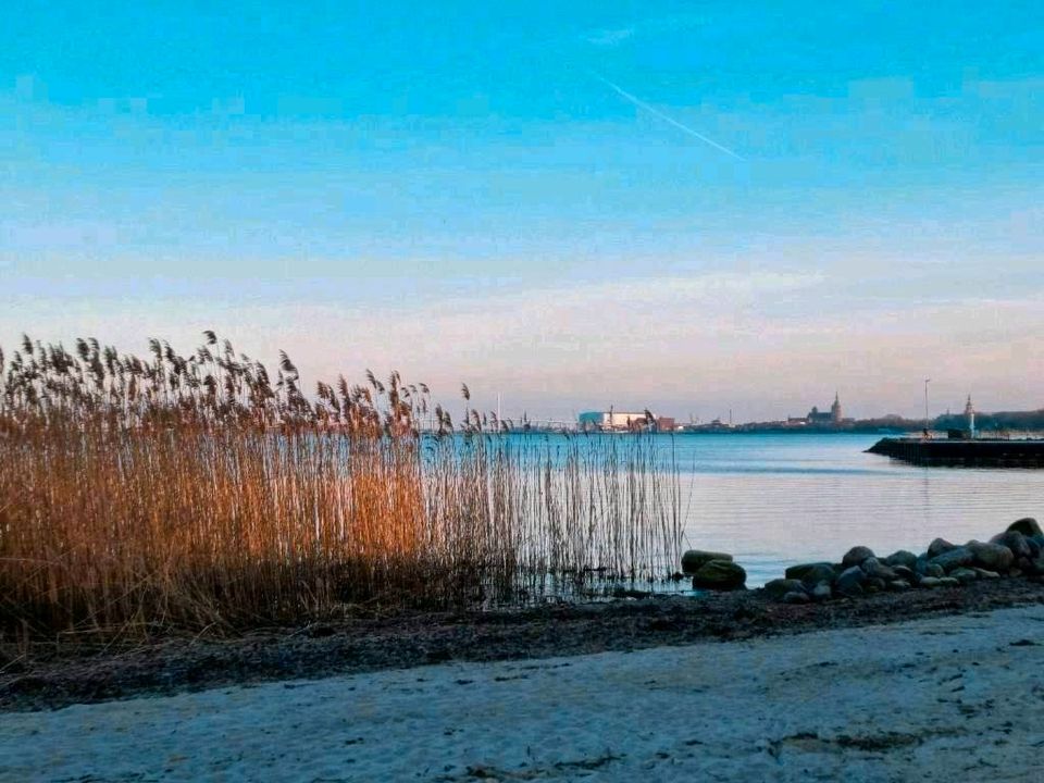 LM Mai Ostsee-Ferienhaus Stralsund a.Meer Sauna Kamin 2Hunde in Vorpommern-Rügen - Landkreis