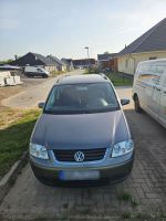 Volkswagen Touran 1.6 Trendline Trendline Mecklenburg-Vorpommern - Neukloster Vorschau