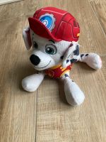 Paw Patrol Marshall Nordrhein-Westfalen - Pulheim Vorschau