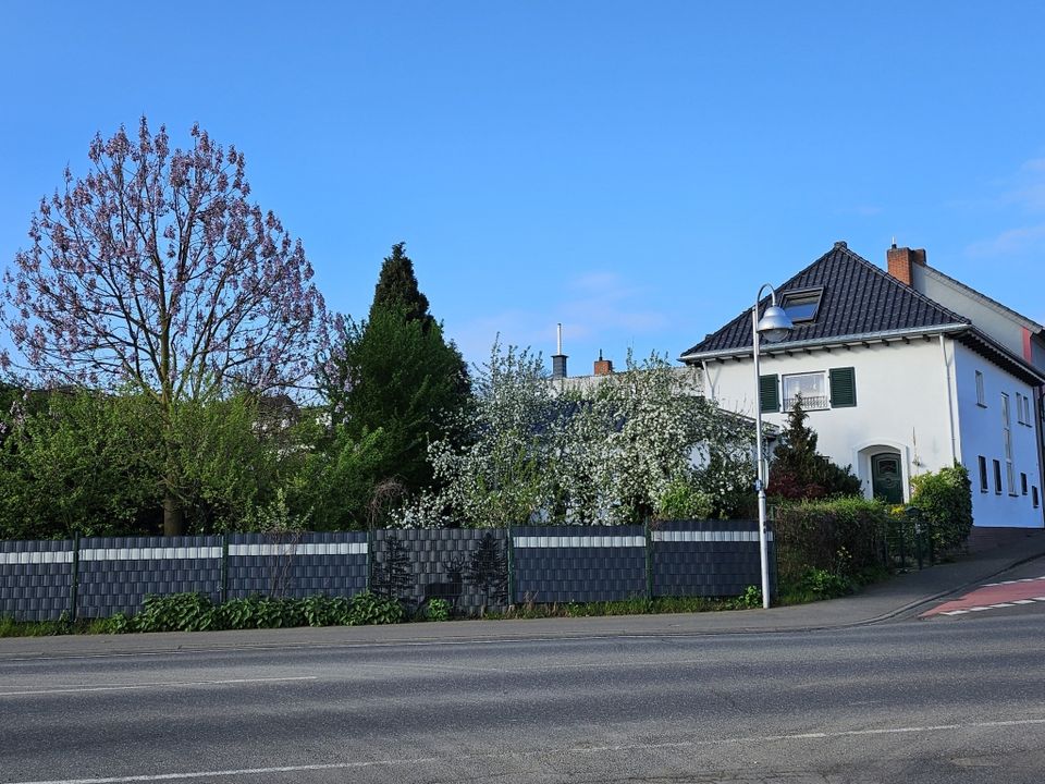Einfamilienhaus mit Traumgarten Grafschaft Lantershofen in Grafschaft