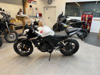 Honda CB500 Hornet 2024 beschädigt *nur 11km* Bayern - Essenbach Vorschau