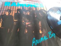 RAMONES, ANIMAL BOY, SPECIAL PRESS, BAGGERS BANQUET 1986 Niedersachsen - Borkum Vorschau