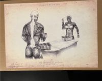 Vintage Beerpong Bierpong Anatomie Bild von Animus Medicus Niedersachsen - Tarmstedt Vorschau