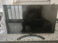 32 Zoll Monitor Bayern - Lam Vorschau