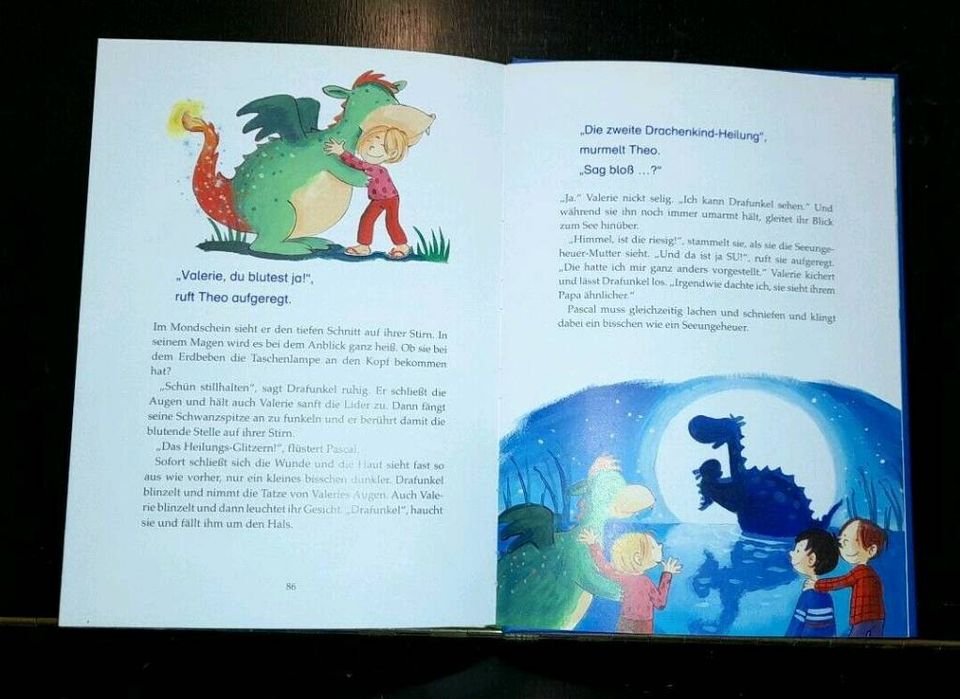 ERSTLESER Kinder Buch Bücher für Jungen Neue TOP!! in Lübeck