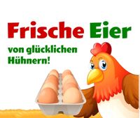 Verkaufe Frische Eier von Glücklichen Hühnern Brandenburg - Müncheberg Vorschau