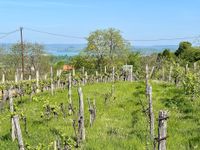 PANORAMAGRUNDSTÜCK am BALATON Nordrhein-Westfalen - Euskirchen Vorschau