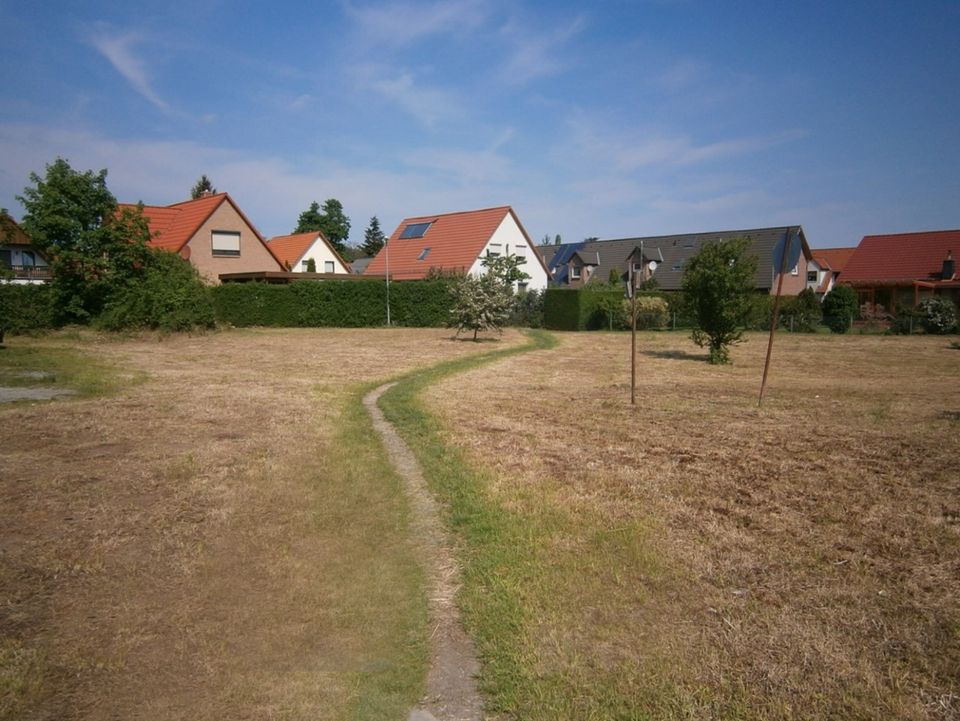 VERKAUF - ca. 8.415 m² Grundstück mit Wohnentwicklungspotential in Ilsenburg in Ilsenburg (Harz)