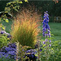 Gartenhilfe Gartenhelfer Gärtner Niedersachsen - Harsum Vorschau