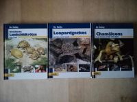 Mein Hobby Sachbücher (Chameleon, Landschildkroten, Leopardgekkos Nordrhein-Westfalen - Soest Vorschau