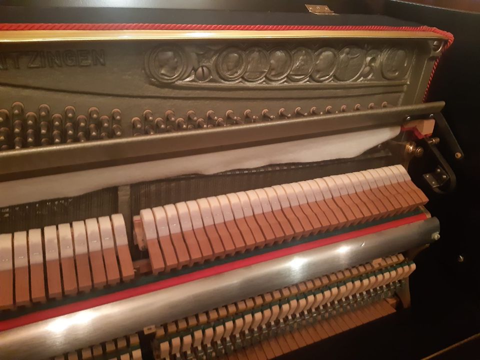 Klavier " Seiler " 118 schwarz matt in Ober-Flörsheim