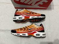 Nike TN Air Max Plus Light Photography / EU 46 / US 12 Wiesbaden - Nordenstadt Vorschau