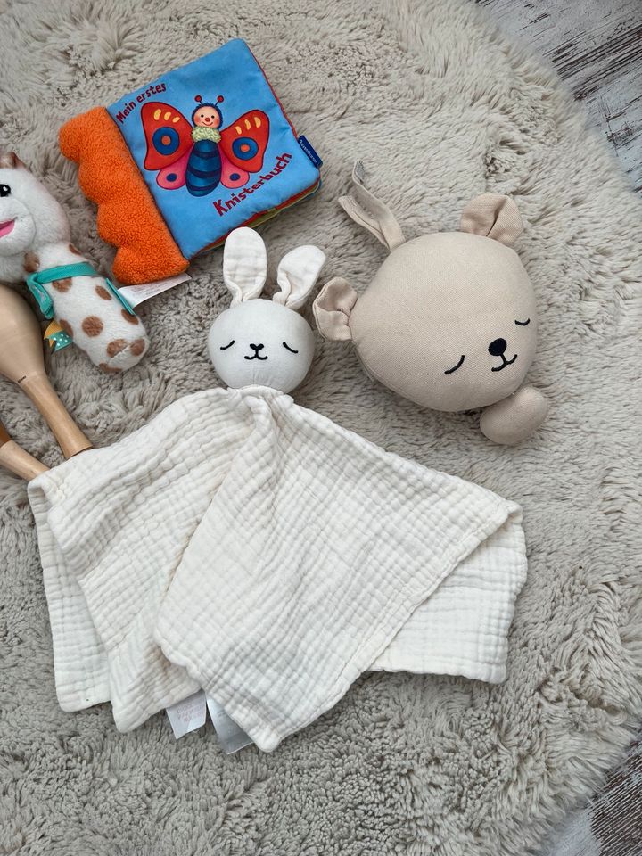 Spielzeug/Beißringe/Spieluhr/Schnuffeltuch Baby in Langenhagen
