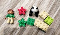 Lego duplo Zoowärter mit Panda 6173 Nordrhein-Westfalen - Winterberg Vorschau