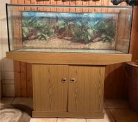 Aquarium mit Unterschrank Nordrhein-Westfalen - Kamen Vorschau