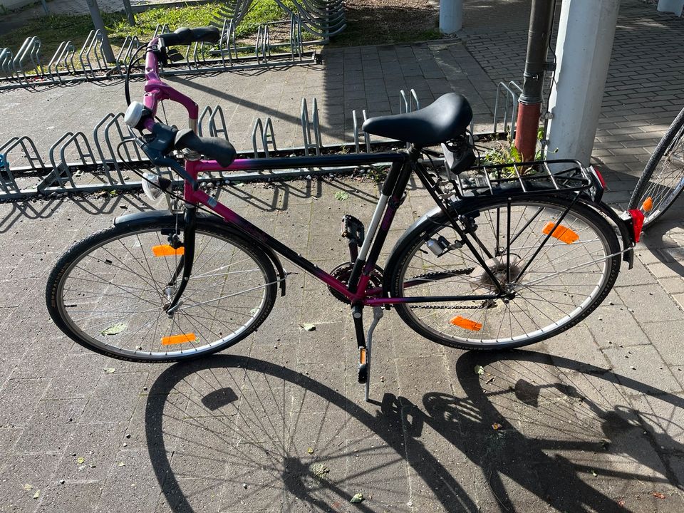 Epple Fahrrad Herren in Mering