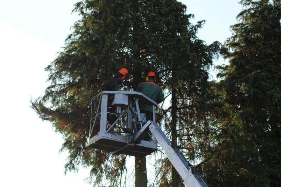 Verleihe Arbeitsbühne Hubsteiger Hebebühne in Moorenweis