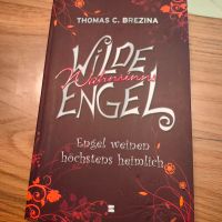 Tolles Mädchenbuch "Wilde Wahnsinns Engel" ungelesen! Hessen - Tann Vorschau