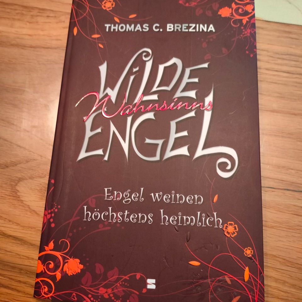 Tolles Mädchenbuch "Wilde Wahnsinns Engel" ungelesen! in Tann