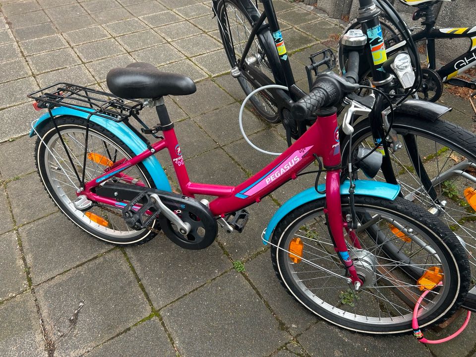 Pegasus Mädchen Fahrrad 22 Zoll in Nürnberg (Mittelfr) - Südstadt |  Kinderfahrrad gebraucht kaufen | eBay Kleinanzeigen ist jetzt Kleinanzeigen