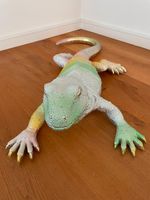 KARE Design  Lizard Rainbow Deco Gecko Kiel - Schilksee Vorschau