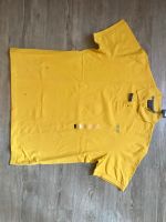 Herren Kleidung Shorts t-Shirts Lacoste Marken Gürtel XL Bayern - Donauwörth Vorschau