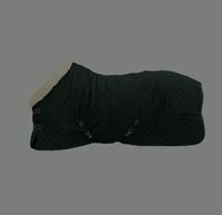 Kentucky Horsewear Turnierdecke 160g dark green/natura 155cm -NEU Nordrhein-Westfalen - Wachtendonk Vorschau