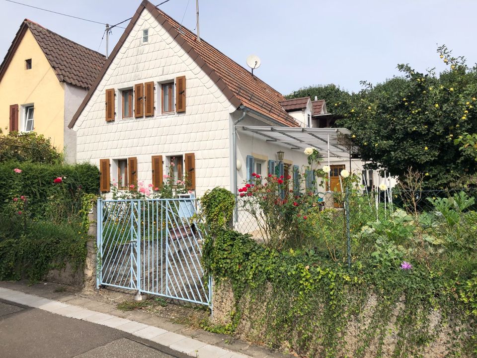 Häuschen mit Garten, Hof ab 08.2024 zu vermieten in Landau in der Pfalz