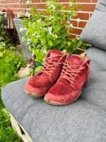 Wildlinge 40 Rubus Cord weinrot top Zustand Niedersachsen - Bramsche Vorschau