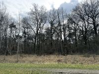 AUKTION: 1,2 ha Splitterflächen (Wald-, Landwirtschafts- und Wegeflächen) Sachsen - Hoyerswerda Vorschau