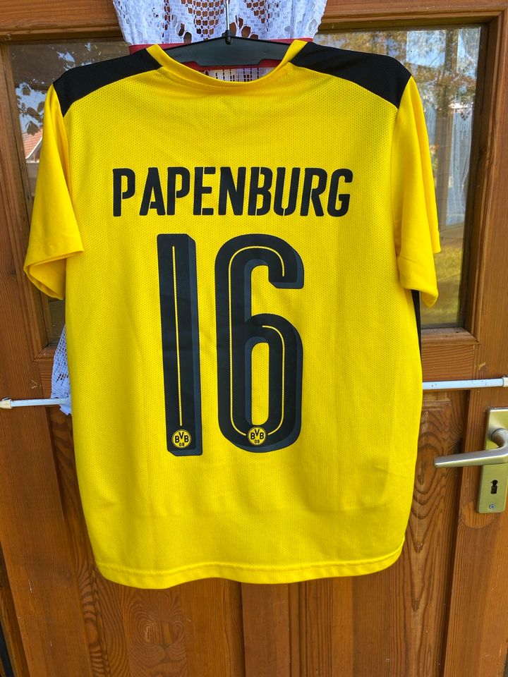 ♥️♥️ BVB Kindertrikot gr 164 Original in Westoverledingen